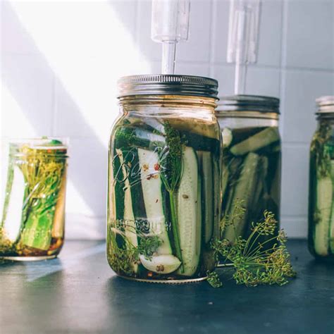 freckledred cucumber|Easy Fermented Cucumbers (Homemade Pickles) .